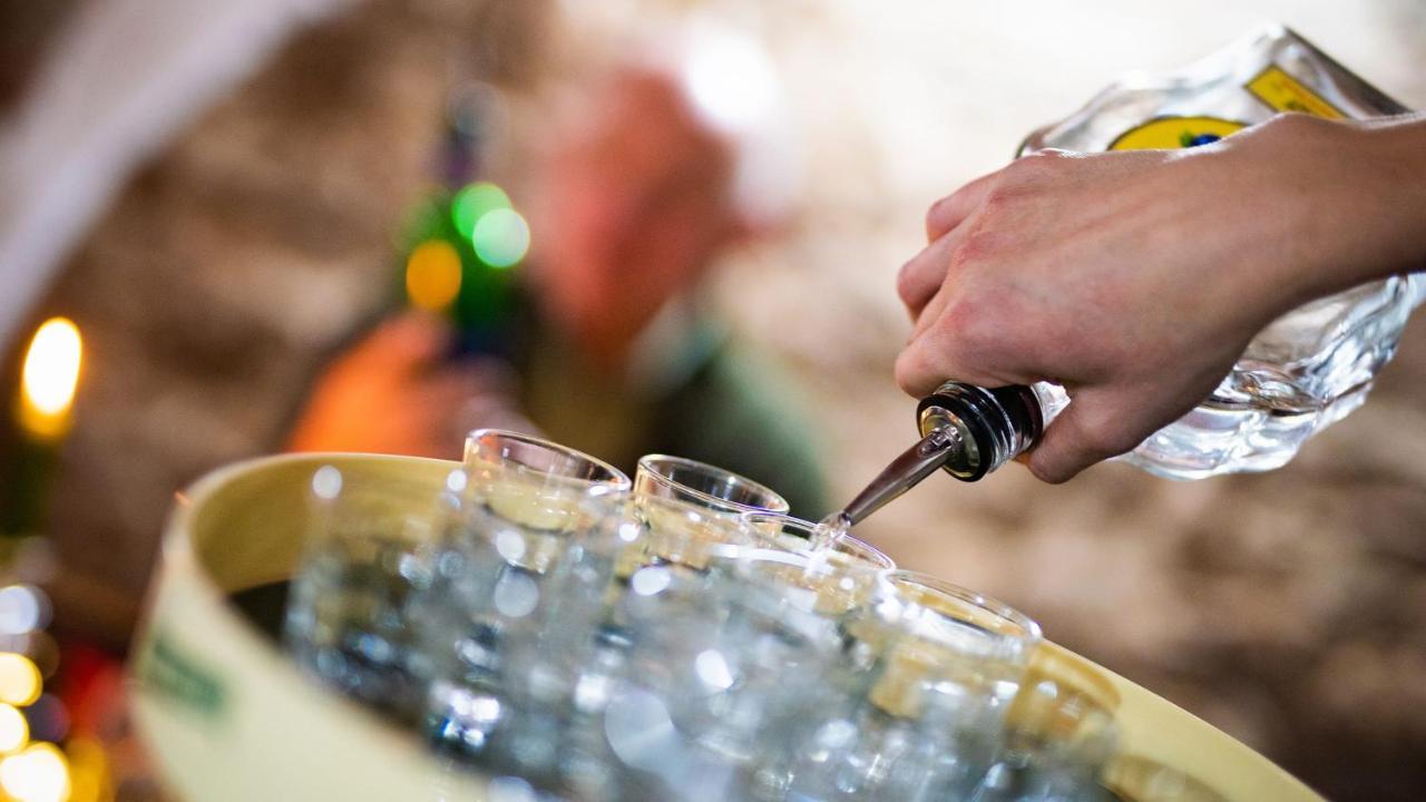Wellness Penzion-Restaurace U Pstrosa Vsemyslice Eksteriør billede